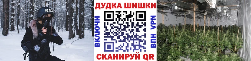 Купить где  Красноармейск  Конопля Bruce Banner 